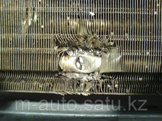 Защитная сетка/решетка радиатора для Renault Duster/Рено Дастер 2012- - фото 6 - id-p7233086