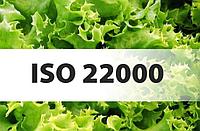 Сертификация ИСО 22000 HACCP