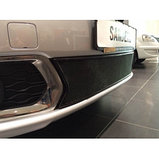 Защитная сетка/решетка радиатора для Renault Sandero/Рено Сандеро 2014-, фото 2