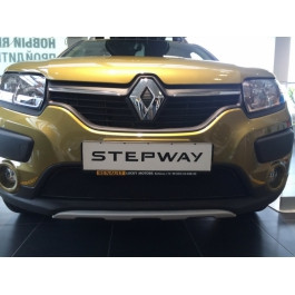 Защитная сетка/решетка радиатора для Renault Sandero Stepway/Рено Сандеро Степвей 2014- - фото 1 - id-p7233128