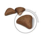 Royal Canin HairBall (1кг на развес) Сухой корм Роял Канин для кошек для выведения волосяных комочков