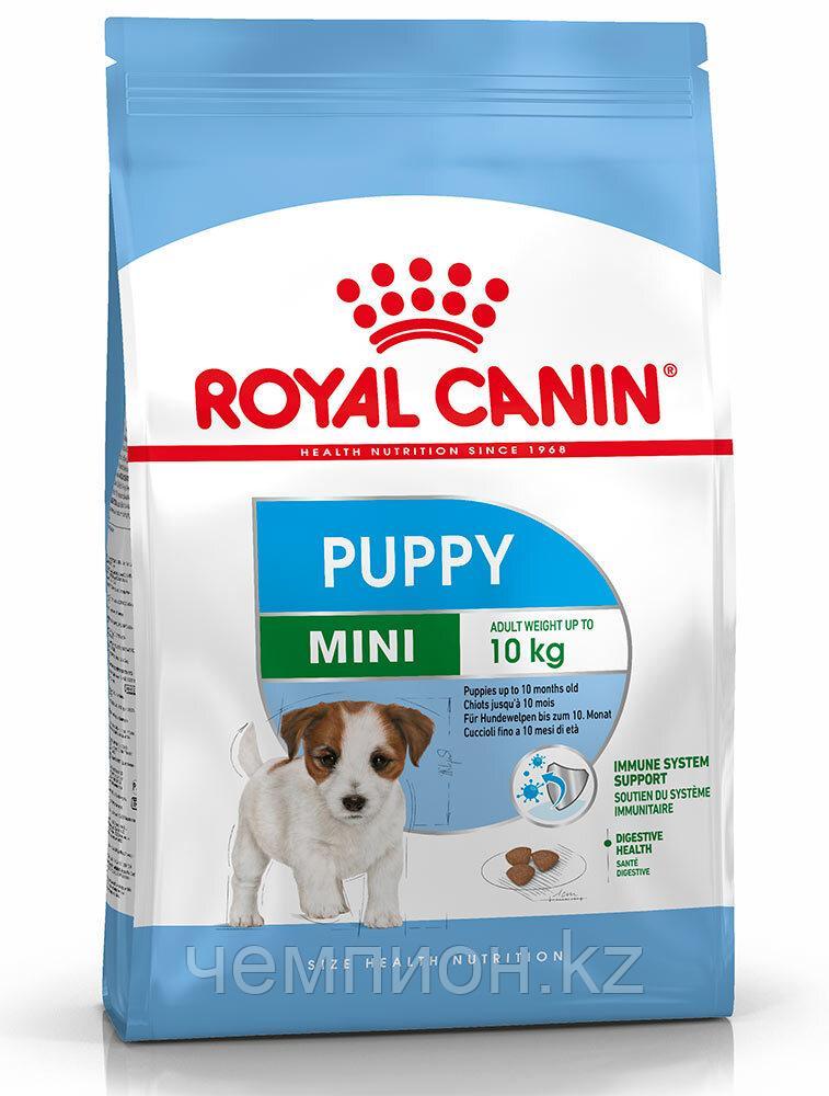 ROYAL CANIN Mini Puppy (Junior), Роял Канин корм для щенков мелких пород, уп.8 кг