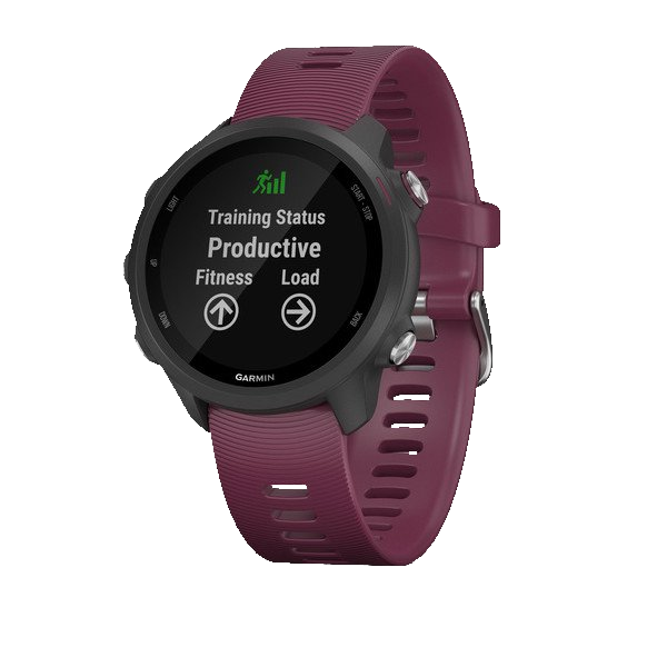 Спортивные часы FORERUNNER 245 малиновый