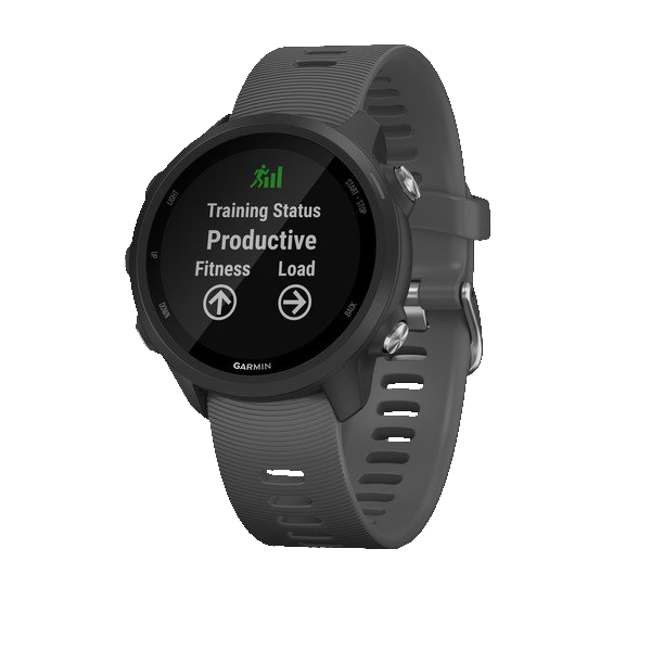 Спортивные часы FORERUNNER 245 Black
