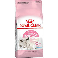ROYAL CANIN Babycat Роял Канин Бэбикэт, корм для котят до 4-х месяцев, уп. 2 кг