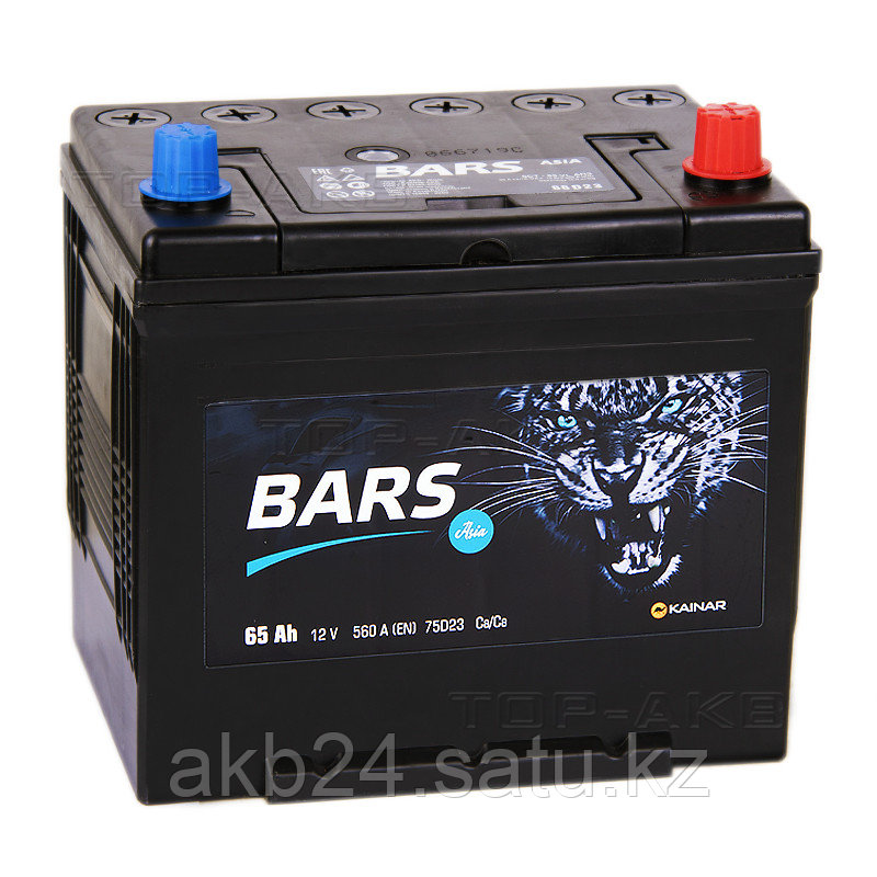Аккумулятор BARS Asia 88D23L - фото 1 - id-p73772009