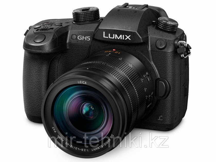 Panasonic Lumix DC-GH5 Kit 12-60mm f/3.5-5.6 - фото 1 - id-p73807812