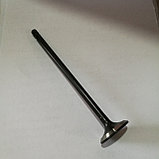 MD339754, MB1250 Клапан выпускной MITSUBISHI LANCER CS3A 4G18 V-1.6 2000-2013, ROCKY, фото 2