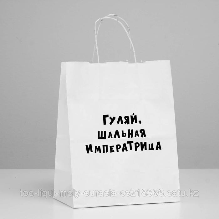 Пакет подарочный «Гуляй шальная императрица», 24 х 14 х 30 см - фото 1 - id-p73832954