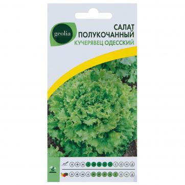 Салат Кучерявец Одесский 0,5 гр