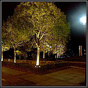 Светодиодный светильник для освещения деревьев 12Вт - Теплый белый, фото 4