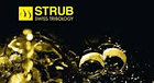 Масло для пневмосистем и пневмоинструмента STRUB Vulcair 46, фото 3