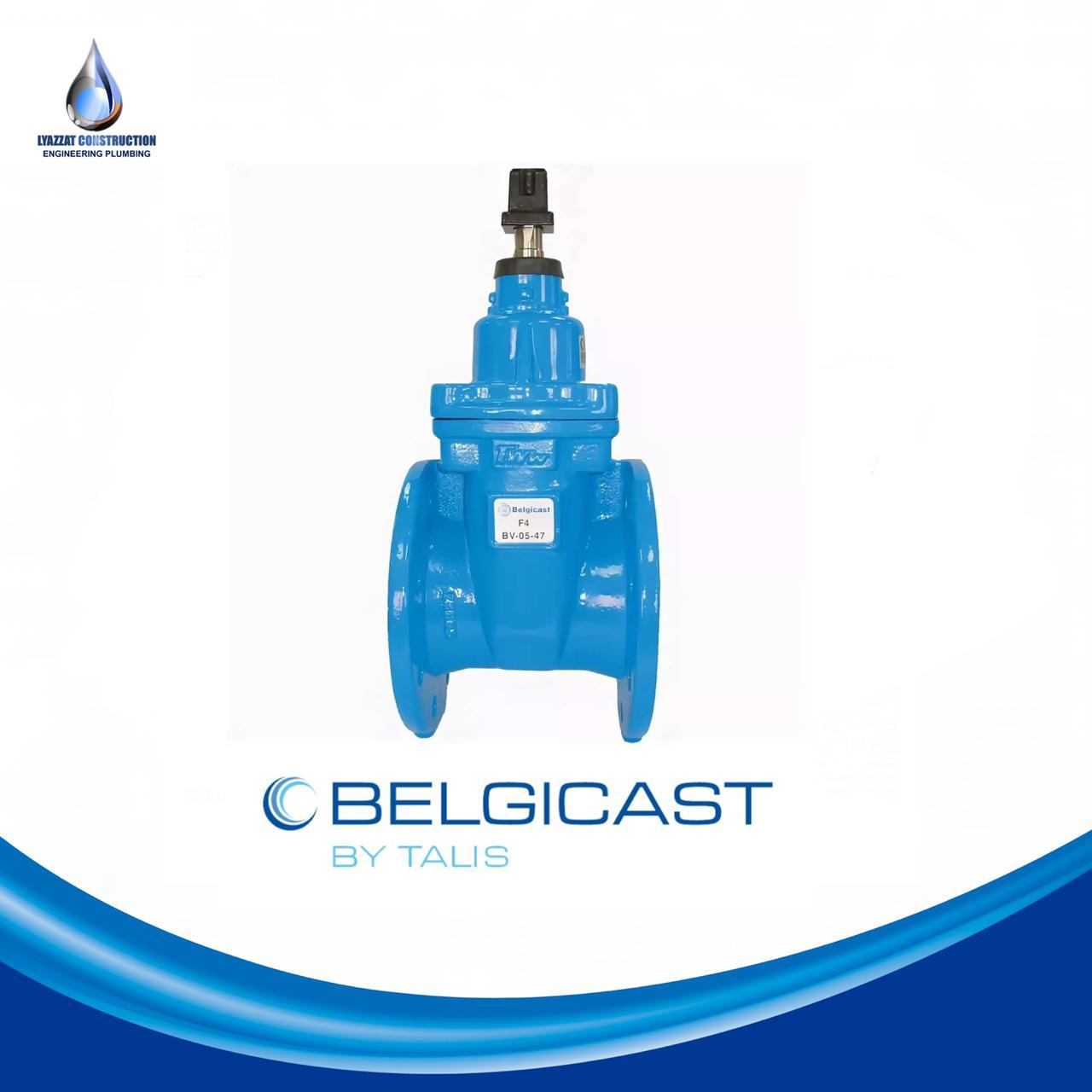 Задвижка фланцевая DN 200 BELGICAST F4