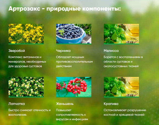 Артрозакс (Аrtrozax) - крем для суставов, цена 930 Тг., купить в Нур ...