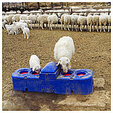 АВТОПОИЛКА ДЛЯ ТЕЛЯТ И ОВЕЦ 4-ШАРИКОВАЯ МОДЕЛЬ с подогревом TPT1735G, фото 2