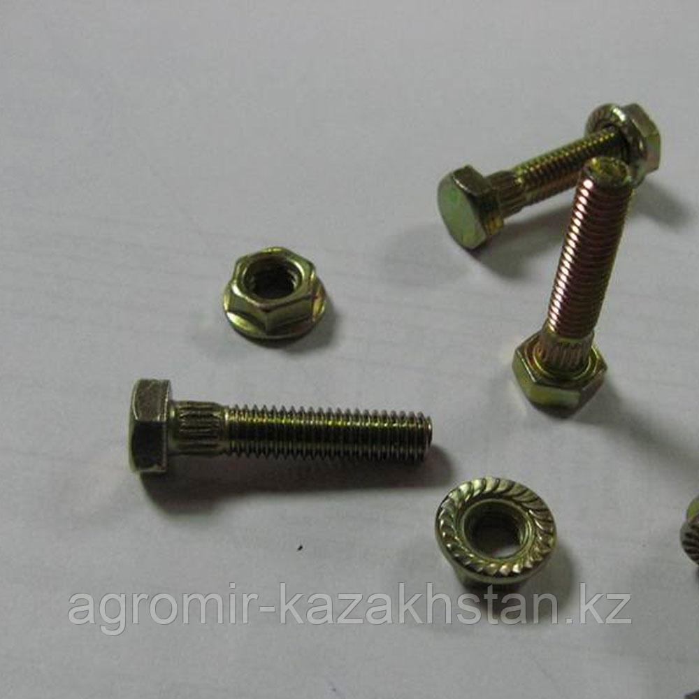 Болт зубчатый 10931 с гайкой 13961 (на пятку шумахер) М6*26, фото 1