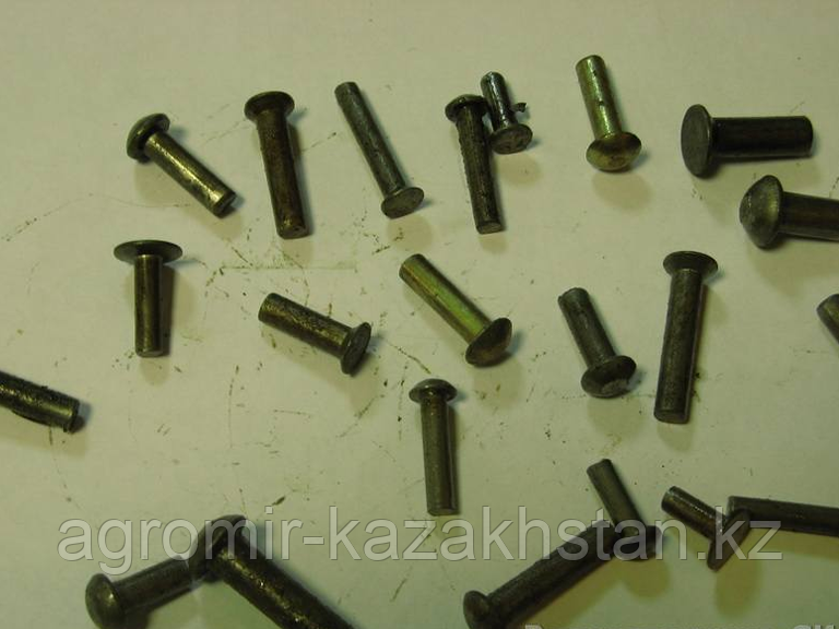 Заклёпка 5х30 (потай) (196 шт в кг), фото 1
