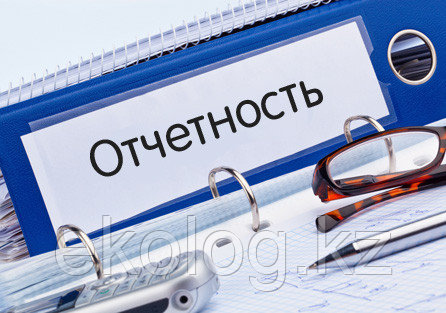 Составление годовых отчетов по производственному экологическому контролю по установленной форме , фото 2