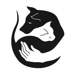 Экспресс-тесты для домашних животных