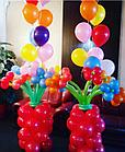 Букеты и Цветы из воздушных шаров, фото 8