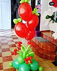 Букеты и Цветы из воздушных шаров, фото 9