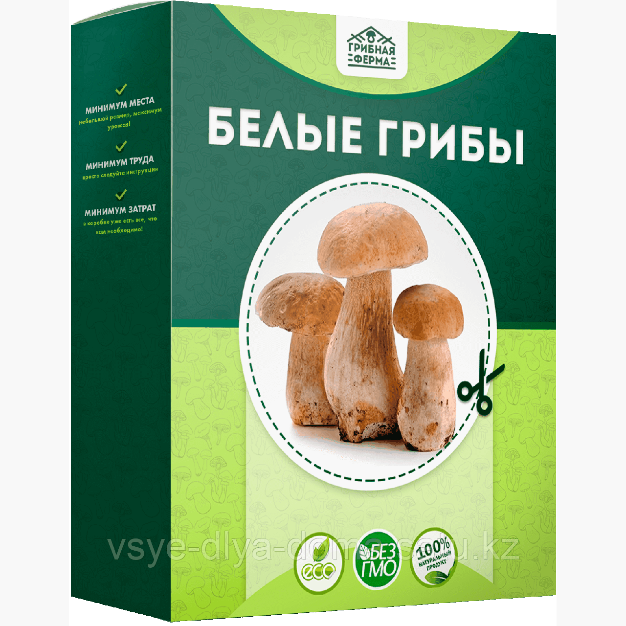 Домашняя грибница — для выращивания грибов в домашних условиях