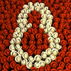 Праздничная витрина 8 марта