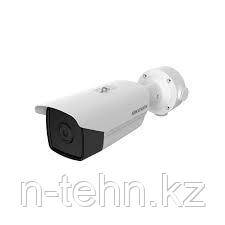 Hikvision DS-2TD2117-6/V1 (6mm (25° × 18.7°)) Тепловизионная видеокамера