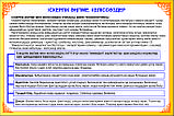 Плакаты по казахскому языку 11 класс, фото 9