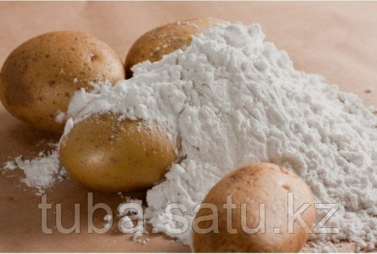 Картофельный крахмал,10 кг - фото 1 - id-p7314470