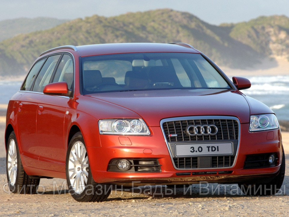 Кузовной порог для Audi A6 C6 (2004–2011)