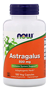 Now Foods, Astragalus, 500 мг, 100 капсул