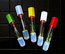 Пробирки из боросиликатного стекла, нестерильные Sigma-Aldrich
