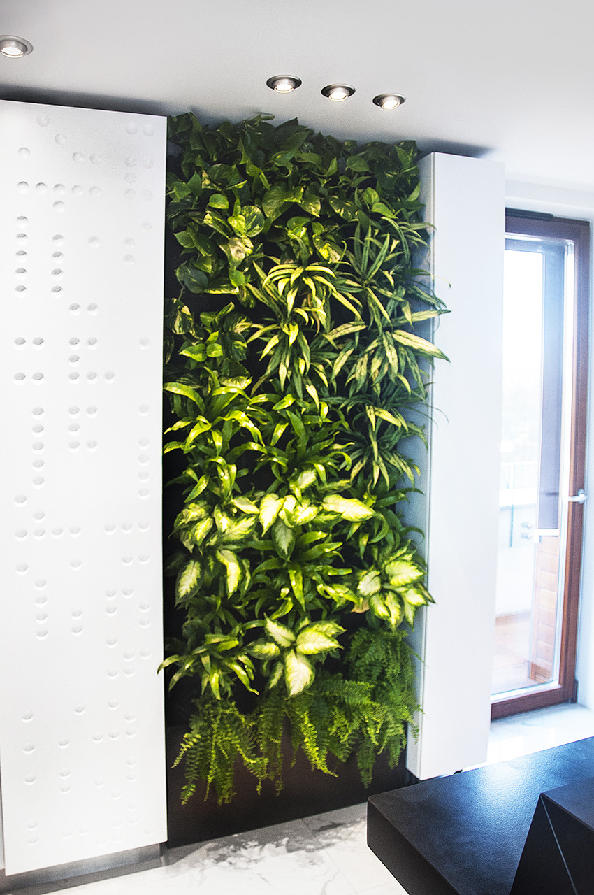 Фитомодуль 