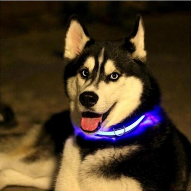 Светодиодный ошейник для собак usb, цвет голубой, размер S - фото 5 - id-p74468064