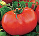 Рассада томатов, фото 3
