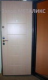 Дверь "ЩИТ" эксклюзив с элементами лазерной резки ТИГР, фото 2