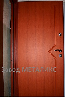 Дверь "ЩИТ" стандарт с элементом РУСТ