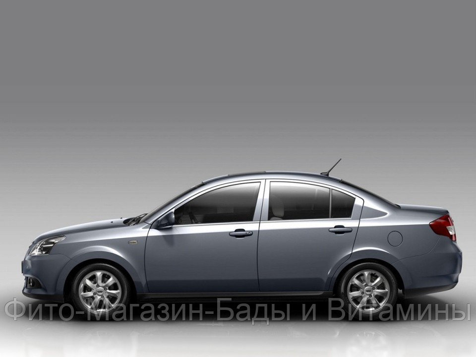 Кузовной порог для Chery E5 (2011–н.в.)