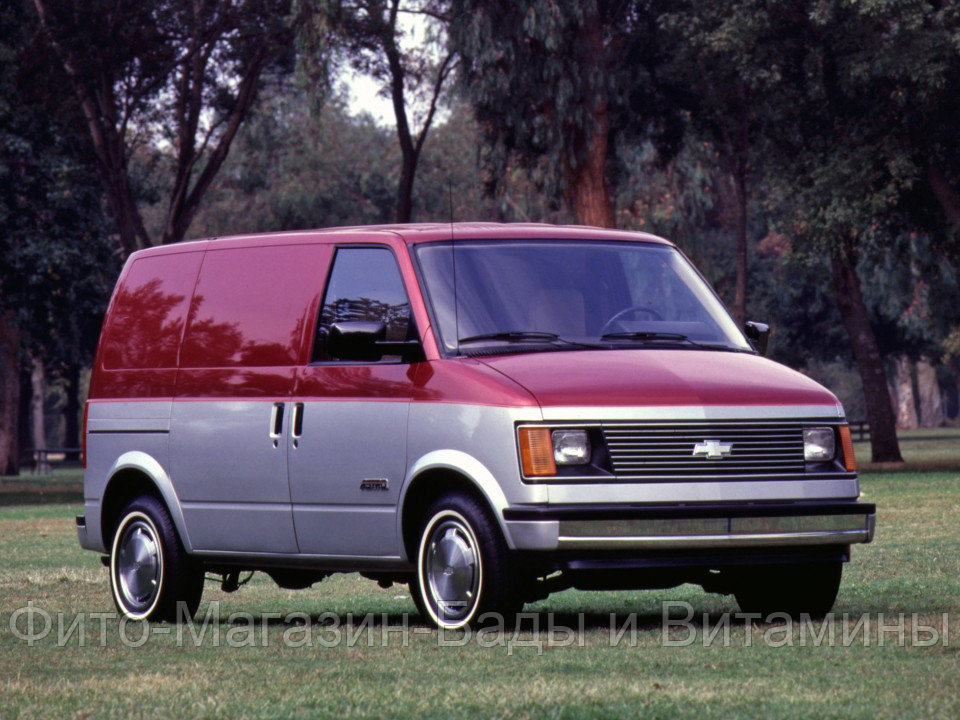 Кузовной порог для Chevrolet Astro I (1985–1994)