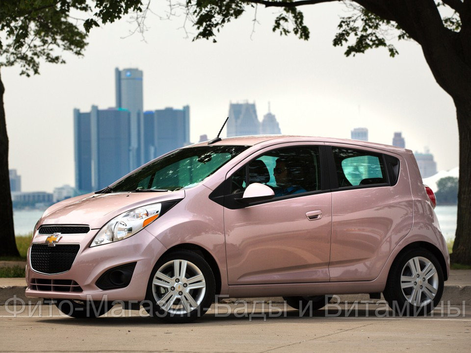 Кузовной порог для Chevrolet Spark M300 (2010–н.в.)