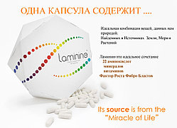 Ламинин (Laminine®) ,Оригинал, США, LifePharm Global