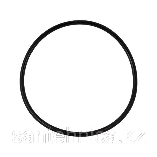 Уплотнительное резиновое кольцо для корпусов серии WF - фото 1 - id-p74970753