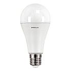 Светодиодная лампа Ergolux LED-A65-20W-E27-6K (дневной)