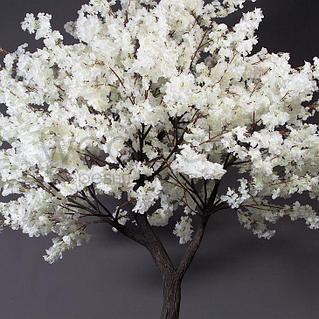 Интернеттегі мағыналы орыс порно Аққұбалармен барлық жыныстық қатынасты қараңыз