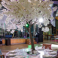 Искусственные деревья аренда, фото 4