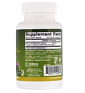 Jarrow Formulas, Расторопша, 150 мг, 100 вегетарианских капсул, фото 5