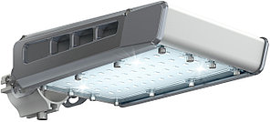 Уличный светильник 55 Вт TL-ST 55 5К LC F3 W