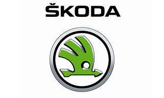 Стёкла фар для SKODA