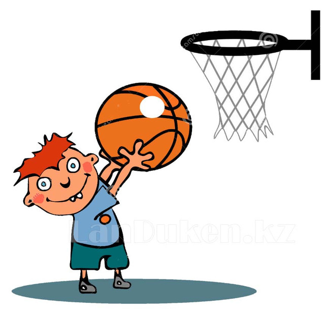 basketball ball